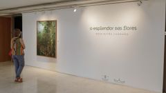 Imagen de la exposici�n de Caama�o en el Marcos Valc�rcel