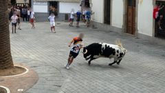 El toro, por las calles de la localidad, antes de morir por recibir dos disparos de escopeta.