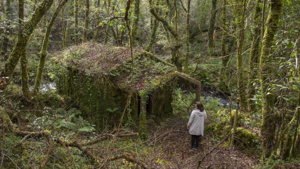 Nueve molinos y una minicentral, los tesoros del r&iacute;o Fa&iacute;lde de A Ba&ntilde;a
