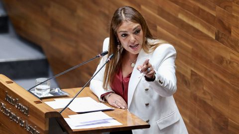 La portavoz de Vox en la Junta General, Carolina Lpez