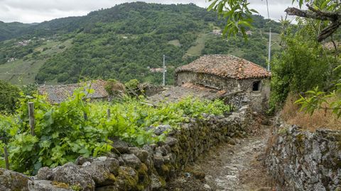 Ruta de los codos de Bexán, una antigua calzada romana