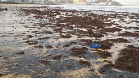 Carb�n en la playa de San Lorenzo, Gij�n