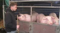 Un vendedor, con varios animales en la feria celebrada en el 2019