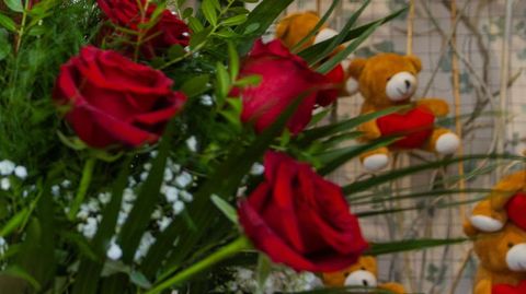 Rosas por San Valent�n 