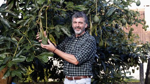 sarmiento.A s�a horta. Na s�a casa de Sabar�s, Ram�n Sarmiento ten unha leira na que cultiva, entre outras froitas e hortalizas, os seus propios aguacates. Este � tempo de comezar a sementar