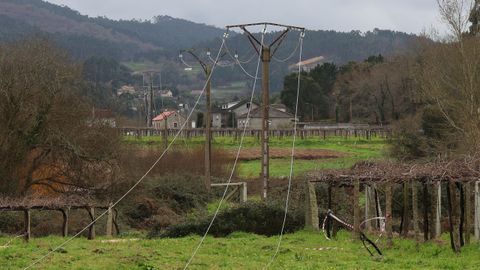 Un pino derrib� la linea de media tensi�n en Meis