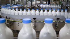 La leche es uno de los alimentos m�s recomendados para prevenir la osteoporosis. 