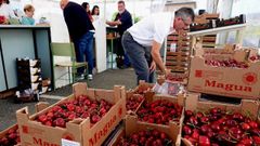 Hoy y ma�ana celebra la Festa da Cereixa en Beade