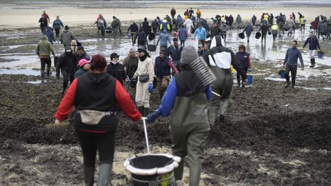 Las mariscadoras vuelven a la playa en la r�a de Pontevedra para limpiarlas