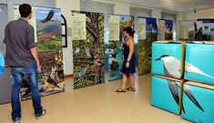 La muestra estar� abierta al p�blico durante esta semana en el parque Reina Sof�a.