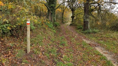 Senderismo en O Pereiro de Aguiar.El Concello acaba de poner en marcha tres nuevas rutas por el municipio y suma 50 kilmetros de trazados de senderismo