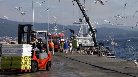 El ministerio autoriz� un aumento del 10 % de la cuota de bocarte para este a�o debido a la abundancia del recurso.