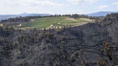 Incendio forestal en Larouco