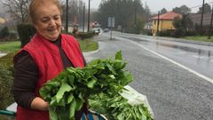 Celsa e vende sus grelos a pie de carretera desde hace a�os. 