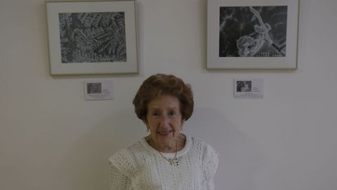 La doctora Helvia Temprano, con algunas de las im�genes de su investigaci�n transformadas en arte en la exposici�n  Cristales de vida 