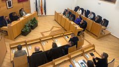 Pleno extraordinario en Nar�n. 