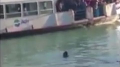 Pol�mico ahogamiento de un joven gambiano en aguas del Gran Canal de Venecia