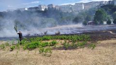 Ardieron varios metros de una finca particular que era un pastizal