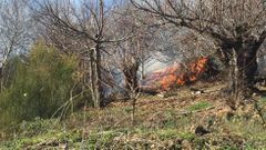 Incendio forestal en Candeda, en Carballeda de Valdeorras