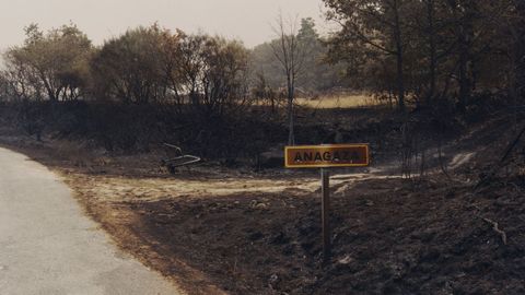 Incendio en Trives y Manzaneda