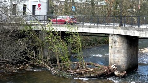 �rboles ca�dos en el cauce del r�o Trubia a su paso por esa localidad de Oviedo