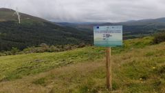 Vista de terreno de la comunidad de montes Tenente e Xistral, en Muras), en donde se retiraron pinos para proteger turberas