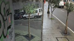 El arte urbano de Vigo