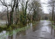 Zas. Carretera que une San Cremenzo de Pazos con A G�ndara. 
