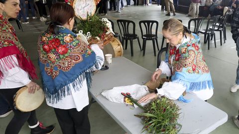 Elaboraci�n de maios en canido.
