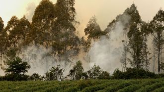 Un bombero forestal trata de apagar el fuego registrado el mes pasado en Roupar, en el concello de Xermade.