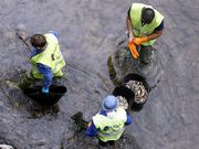 Recogida de muestras tras el vertido en el r�o Barba�a. 