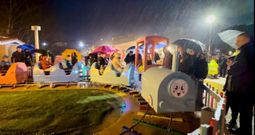 El �rbol se desplom� muy cerca del tren inaugurado el pasado domingo