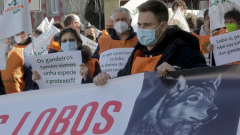 Ganaderos gallegos pidieron esta semana pidieron ante la delegaci�n del Gobierno de A Coru�a que no se incluya al lobo en el Lespre