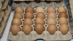 La OCU denuncian que los huevos camperos son m�s caros que los normales, pese a que las gallinas ya no est�n al aire libre