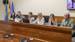 Varios agentes de Medio Rural comparecieron este martes ante la comisin parlamentaria de investigacin del accidente de la mina de Cerredo, que preside la diputada Covadonga Tom (3d ), en el que el pasado 31 de marzo perdieron la vida cinco trabajadores a causa de una explosin