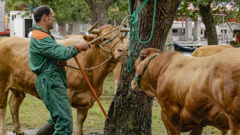 Feiras de Primavera en O P�ramo