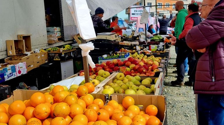 Puesto de frutas y verduras en el mercado mensual de Valdovi�o