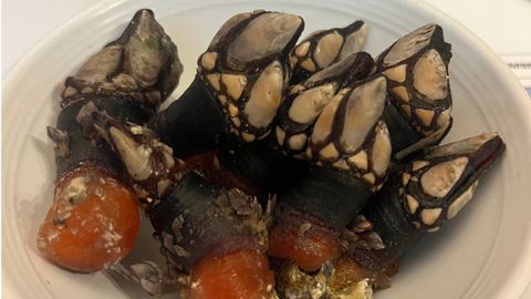 Muestra de cata del I Campeonato de Percebe de Asturias