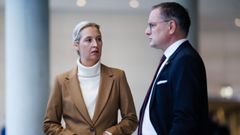 Los copresidentes deAfD, Alice Weidely Tino Chrupalla, en el Bundestag.