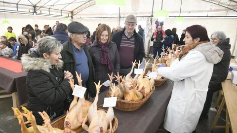 Feira do Galo de Curral en Vila de Cruces en el 2025.