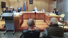 Juicio contra el promotor y el titular de una explotacin ganadera ilegal en Ribadedeva acusados de verter purines en la cueva de El Pindal