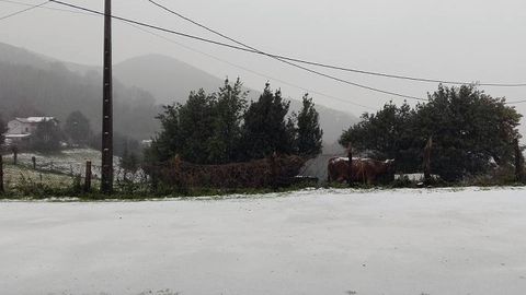 Nieve, en La Paranza, localidad de Siero en el l�mite con Langreo.Nieve, en La Paranza, localidad de Siero en el l�mite con Langreo