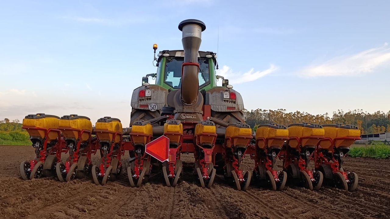 Mazaricos, el pulmón maicero de Galicia exhibe su músculo agrícola