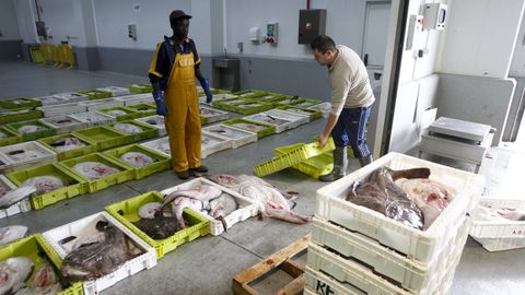 En la imagen, de archivo, una vista de la lonja de Cedeira, concello adscrito al GALP