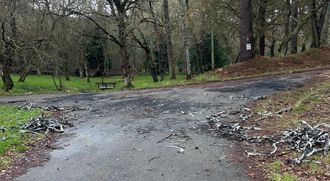 Restos de quemas junto al acceso a la carballeira de Santa Mari�a de Corcoesto, Cabana.