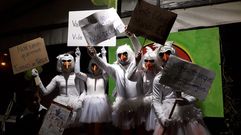 Antroido veci�al de Cerceda, nunha imaxe de arquivo 