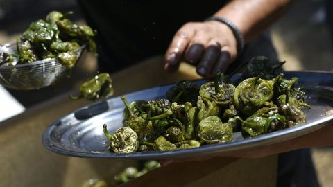 Moug�n celebra su tradicional Festa do Pemento durante dos d�as