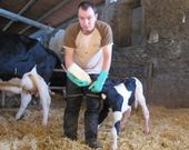 Los ganaderos afirman que los costes de producci�n son m�s elevados de lo que dice el ministerio. 