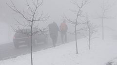 El extra�o caso de la nieve en mayo