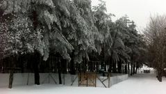 La estaci�n de esqu� ha amanecido cubierta de una densa capa de nieve